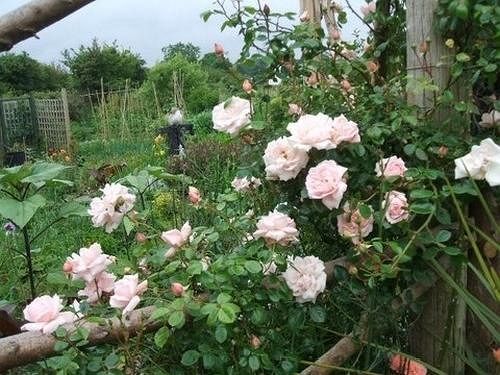 Cross Close House B&B Lostwithiel Εξωτερικό φωτογραφία